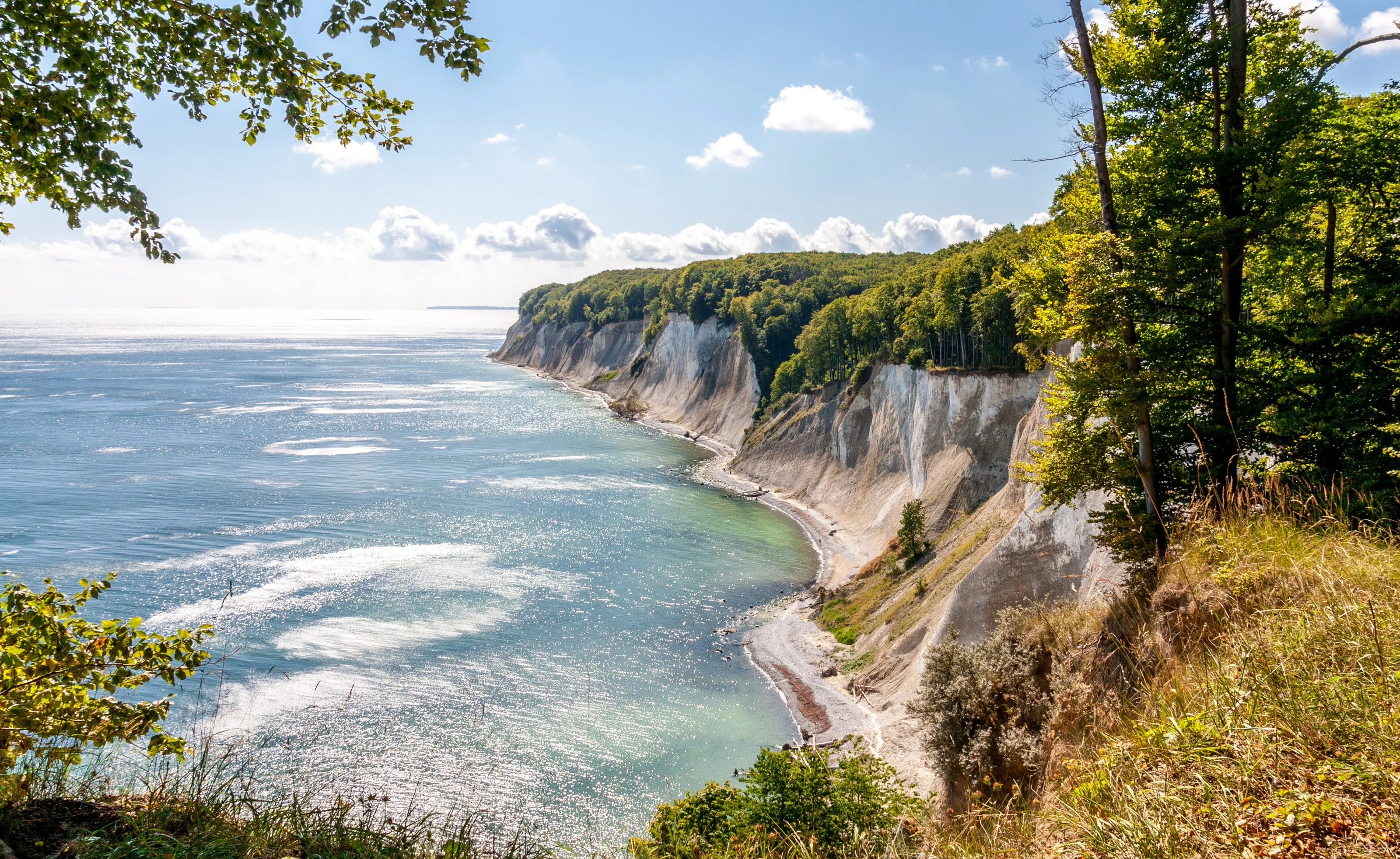 Rügens weiße Kreideküste mit Buchenwald und Blick auf die Ostsee