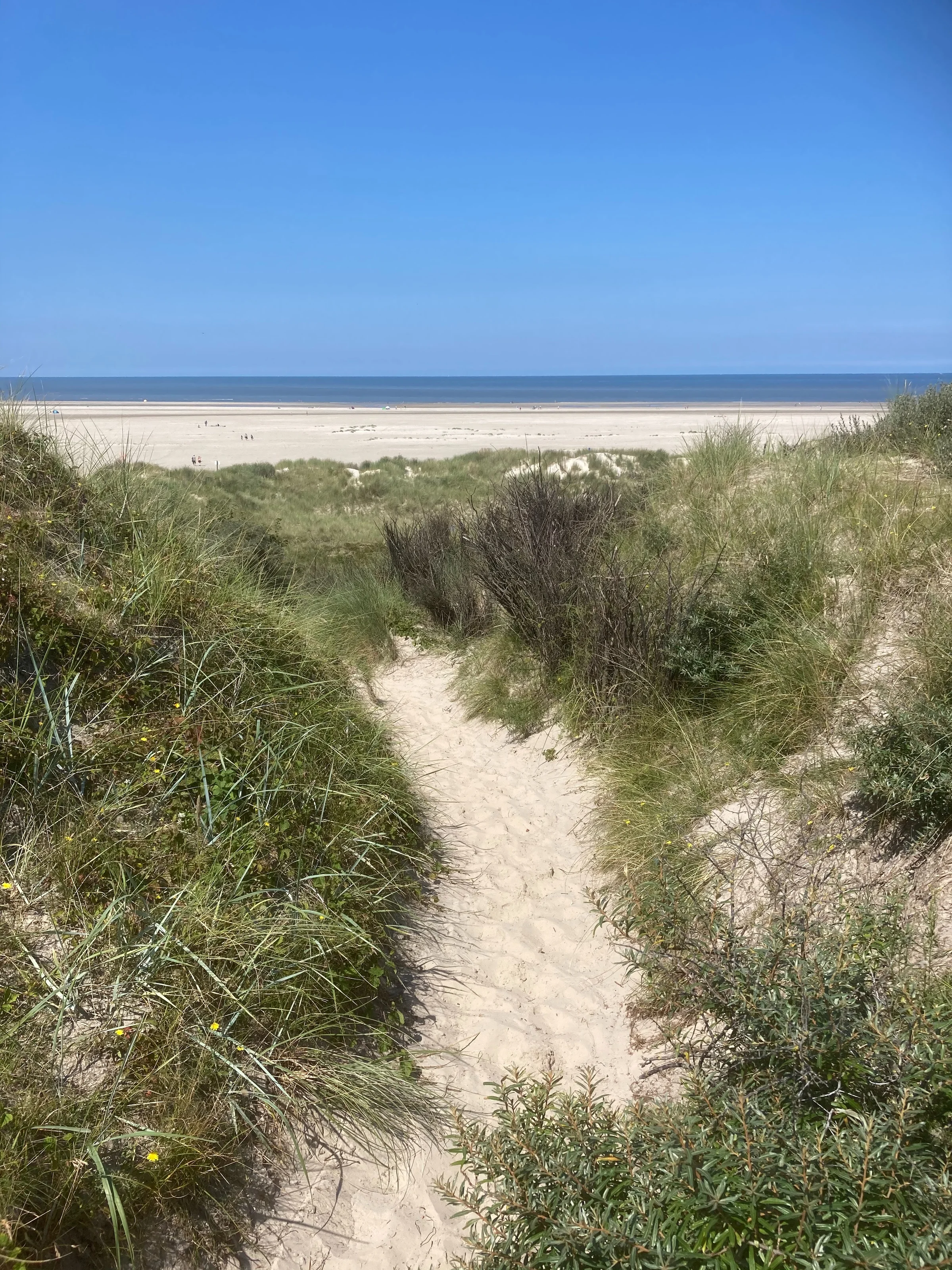 Borkumer Sandstrand hinter den Dünen