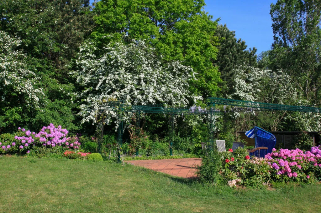 Ferienhaus Ambronia, immagine 4 di 10